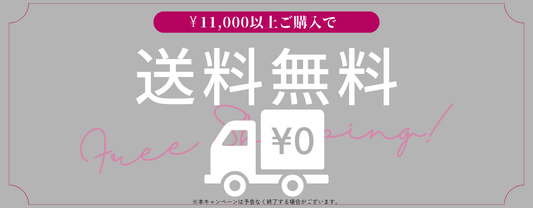 ￥11,000(税込み)以上で送料無料