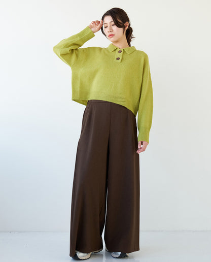 襟付きショートニット