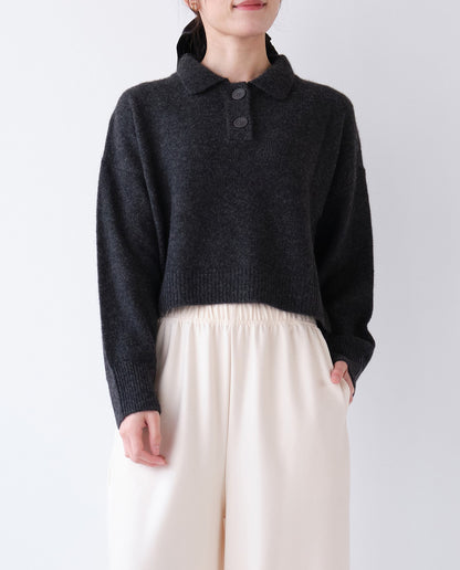 襟付きショートニット