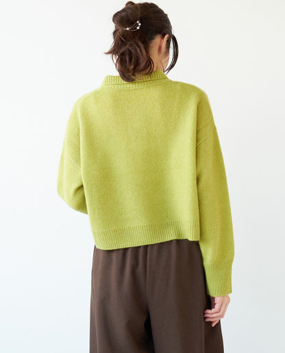 襟付きショートニット